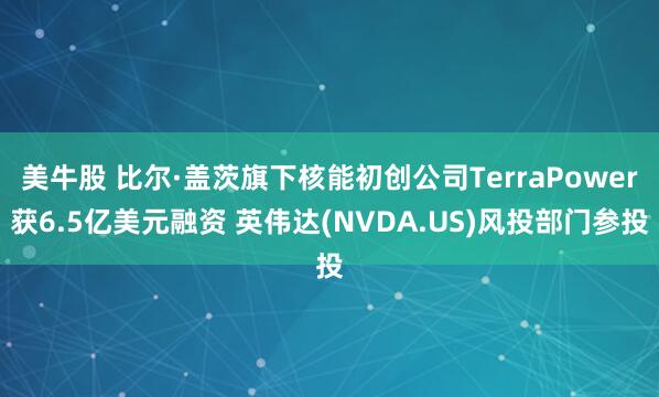 美牛股 比尔·盖茨旗下核能初创公司TerraPower获6.5亿美元融资 英伟达(NVDA.US)风投部门参投