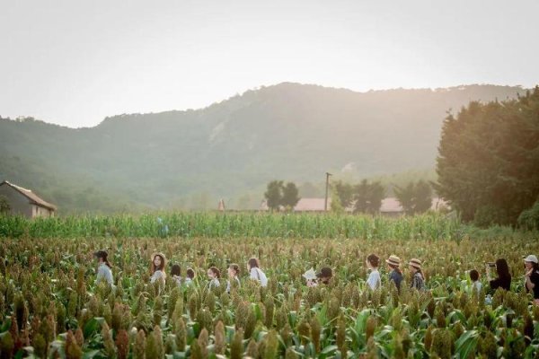 牛领策略 速存！日照山海天旅游度假区国庆中秋精彩活动！